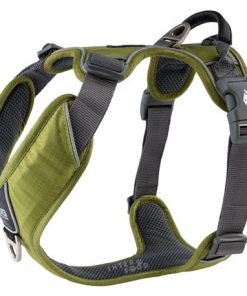 DOG Copenhagen – Imbragatura Comfort Walk Pro™ – XL – Verde