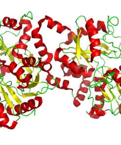 Lattoferrina 200 mg 120 cps