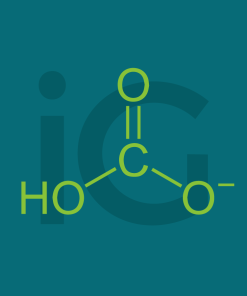 Potassio bicarbonato 300 mg 30 cps