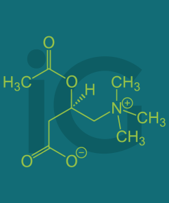 Alternative view of Acetilcarnitina 500 mg Acido alfa-lipoico 300 mg 120 cps